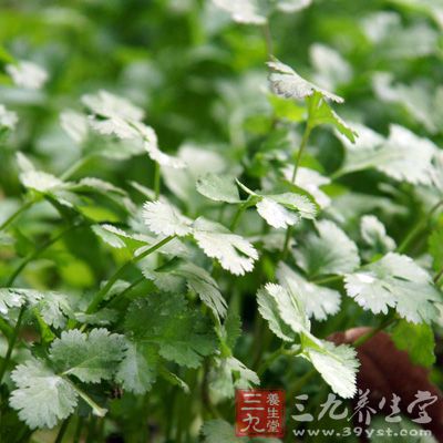 香菜中含有烟酸，能够抗糙皮病，扩张血管，促进血液循环，降血压