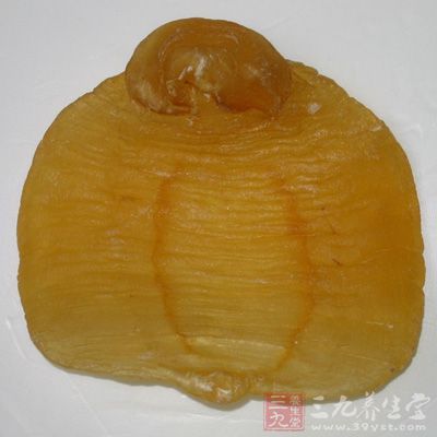 浸泡多久取决于花胶的厚度