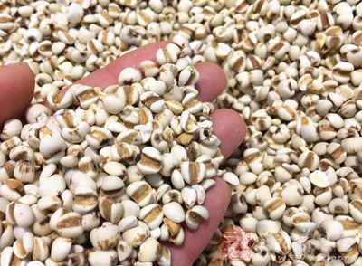 薏米100克，食盐半茶匙