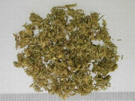 茵陈蒿的功效与作用,茵陈的副作用与禁忌,中药茵陈图片