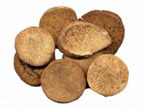 泽泻的功效与作用,泽泻的副作用与禁忌,中药泽泻图片