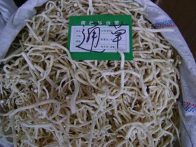 通草的功效与作用及食用方法,副作用与禁忌,中药通草图片