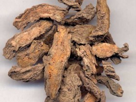 大戟的别名,大戟的功效与临床应用,中药大戟图片