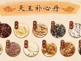 天王补心丹组成,方歌方解,医案分析,功效与作用