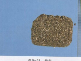 磁朱丸组成,方歌方解,医案分析,功效与作用