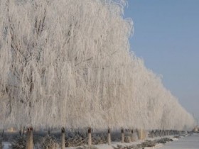 冬至是什么意思,冬至的起源和由来