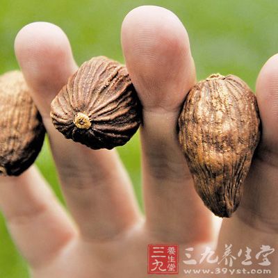 新生儿对吗啡有很大的敏感性，主要原因是其呼吸中枢尚未稳定之故