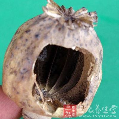 如吗啡2～4mg即可产生显著止咳作用，而止痛则需要5～15m