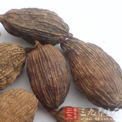 但是只有吗啡对中枢的抑制作用有耐受性，如镇痛、催眠、抑制呼吸等