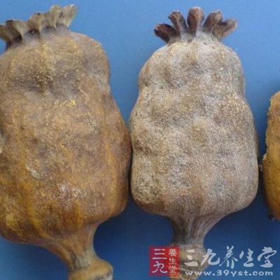 罂粟壳服用过量可致急性中毒，其症状表现为：最初为烦躁不安、谵妄