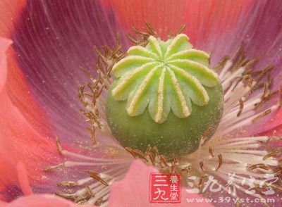 吗啡有催眠作用，但睡眠浅而易醒，不能视为真正的催眠