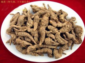 生地黄的功效与作用及食用方法,中药生地图片