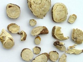 苦参的功效与作用及禁忌,中药苦参图片