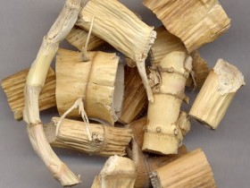 苇茎的功效与作用