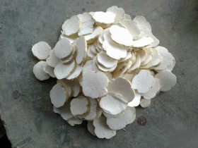 天花粉的功效与作用及禁忌,中药天花粉（栝蒌根）图片