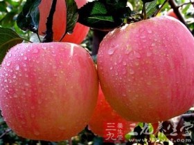 吃什么水果减肥最快,20种减肥水果及食谱大推荐