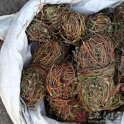 鸡骨草图片