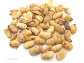 豆黄卷的功效与作用