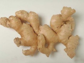 生姜的功效与作用,生姜的用法用量,中药生姜的图片