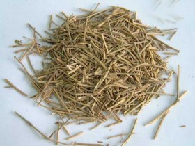 麻黄的功效与作用,麻黄的性味归经,中药麻黄的图片