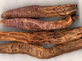 锁阳的功效与作用,中药锁阳图片,锁阳的吃法