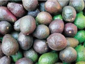 牛油果的营养价值,牛油果的美容功效,牛油果早餐吃法