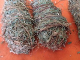 鸡骨草的功效与作用,鸡骨草煲汤做法