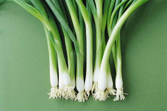 葱白