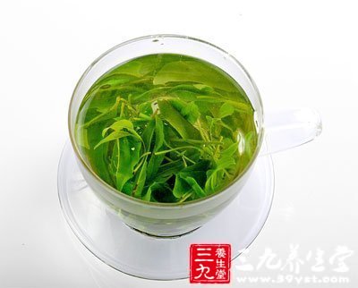 苦丁茶的功效与作用