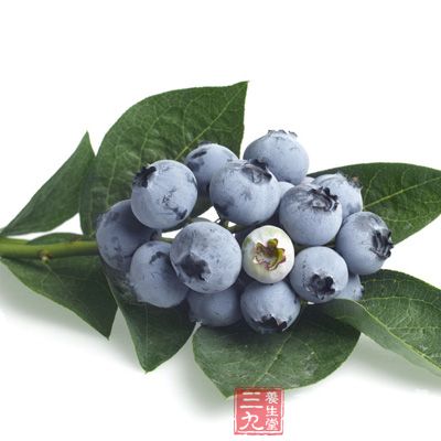 蓝莓中含有的多种维生素、钙、锌、铁、氨基酸