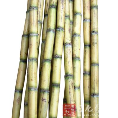 甘蔗的含铁量在各种水果中，雄踞“冠军”宝座，具有“补血果”的美称