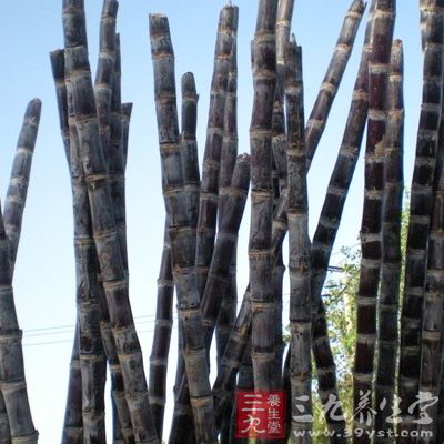 甘蔗的含铁量在各种水果中，雄踞“冠军”宝座，具有“补血果”的美称