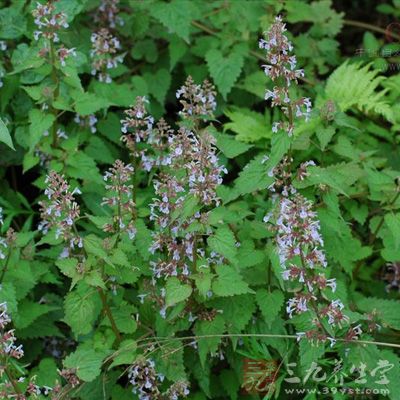 5d6034a85edf8db1fb5e25690b2