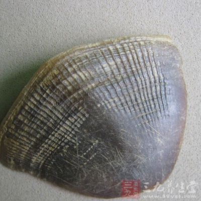 穿山甲鳞片的功效