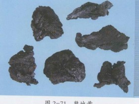 右归丸组成,方歌方解,医案分析,功效与作用