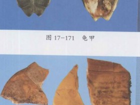 大补阴丸组成,方歌方解,医案分析,功效与作用