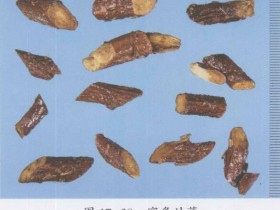 炙甘草汤组成,方歌方解,医案分析,功效与作用