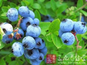 蓝莓的营养价值,蓝莓的功效与作用,蓝莓的吃法大全