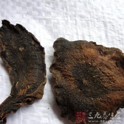 玄参可与生地、羊蹄根等同用，能消退斑疹