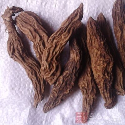 归经：入肺、肾经