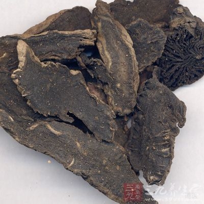 玄参的性味归经