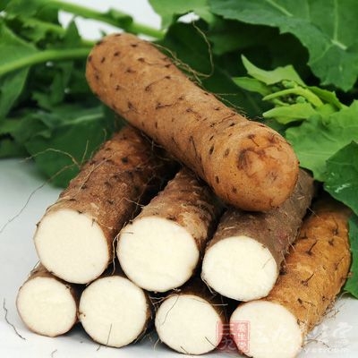 淮山药含有皂甙、黏液质，有润滑，滋润的作用，故可益肺气，养肺阴，治疗肺虚痰嗽久咳之症