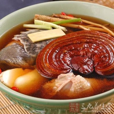 灵芝鸡汤
