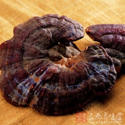 灵芝可以有效保护孕妇免受各种伤害