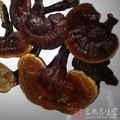 灵芝是最佳的免疫功能调节和激活剂，它可显着提高机体的免疫功能，增强患者自身的抗癌能力