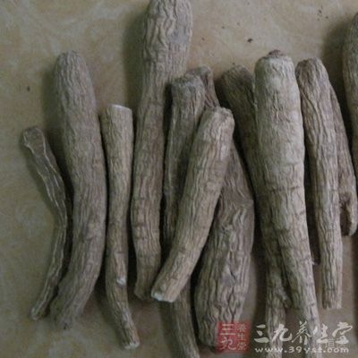 白芷的抗菌作用