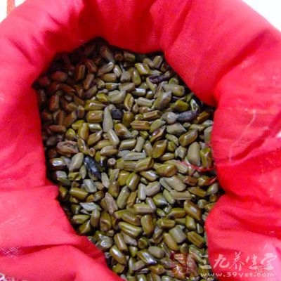 决明子最大的副作用应该就是具有通便滑肠的作用