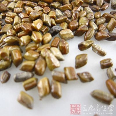 现代医学研究发现，决明子中含有大量的大黄酚、大黄素等等化合物