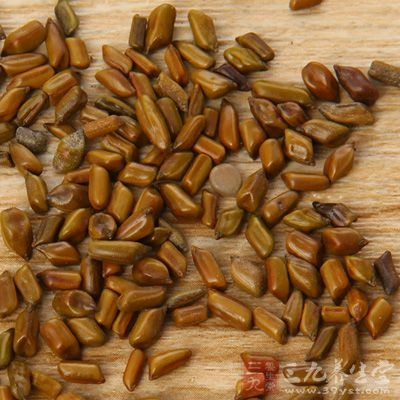 决明子功效：清肝泻火、养阴明目、降压降脂