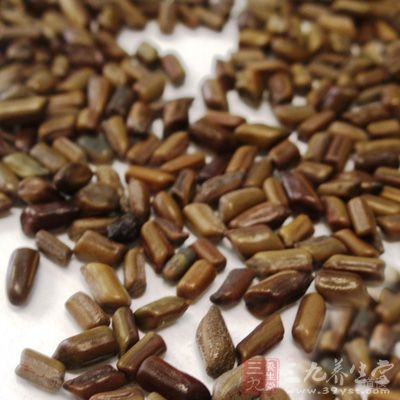 决明子具有清肝明目，润肠通便，降脂减肥的功能